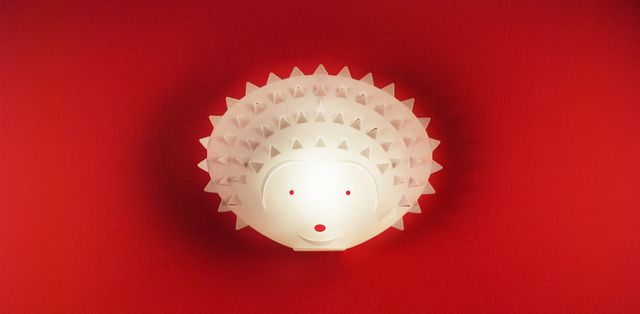 刺猬 / 阳光礼盒