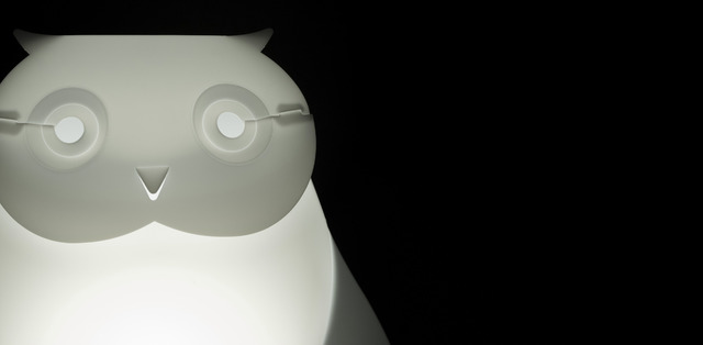 猫头鹰 / 明亮礼盒