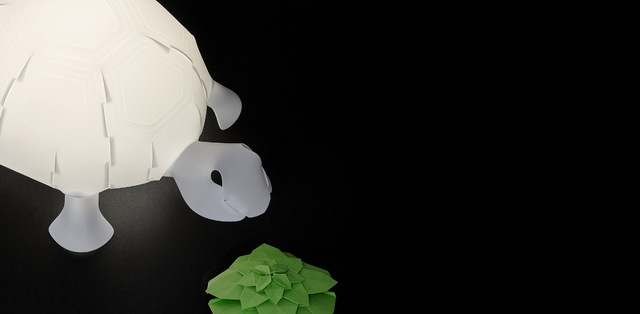 乌龟 / 明亮礼盒