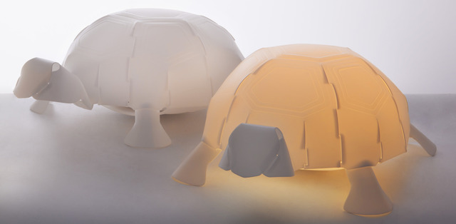 乌龟 / 智趣礼盒